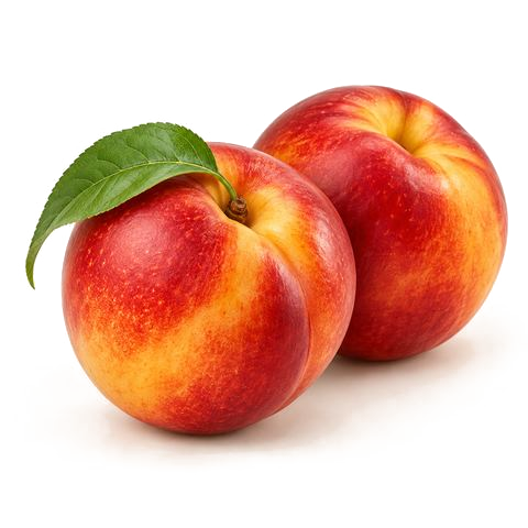 شلیل