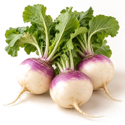 شلغم