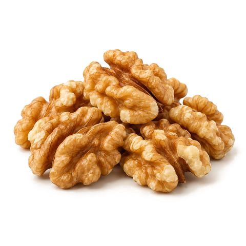 مغز گردو